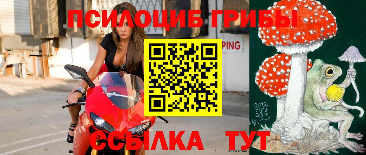 Новоуральск  Псилоцибиновые грибы Psilocybe  Вход с VPN 