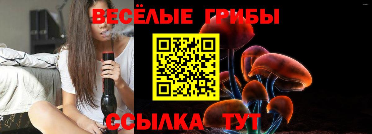 Галлюциногенные грибы GOLDEN TEACHER Новоуральск