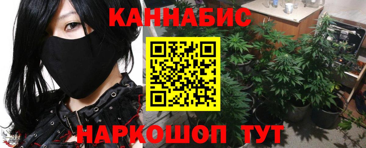 Канабис план Новоуральск